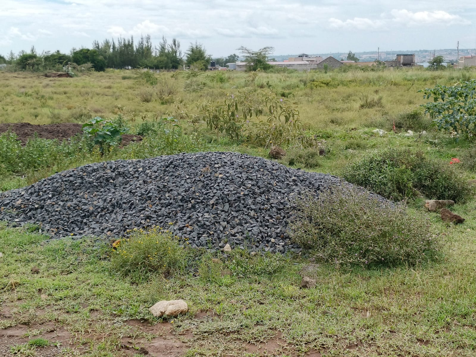 Adams Estate plots Narok