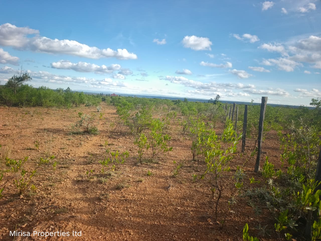 3 Acres land for sale in Eore-Ekule Narok opposite Maasai Mara Technical
