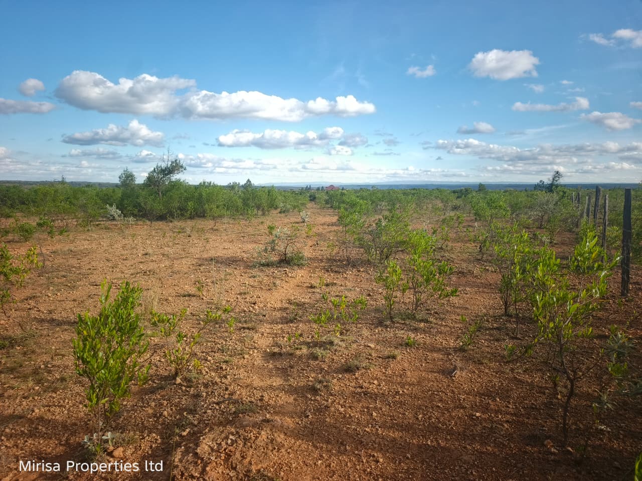 investment land for sale Narok – Eore-Ekule 3-acre parcel near Maasai Mara Technical