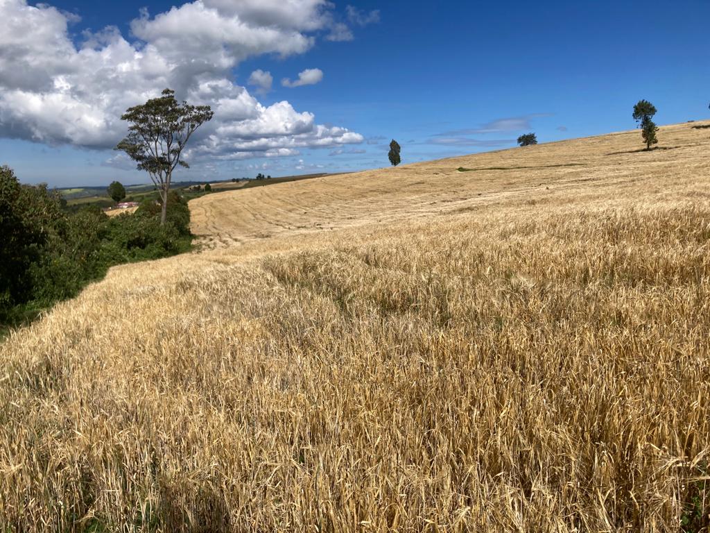 100 acres farmland for sale Narok – Oledeem highland terrain