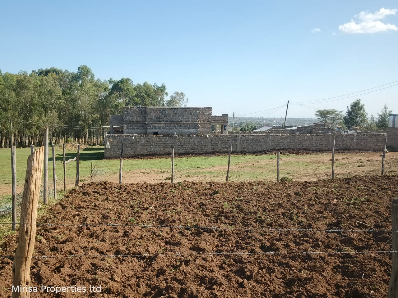 Fanaka Boys plot thumbnail 2