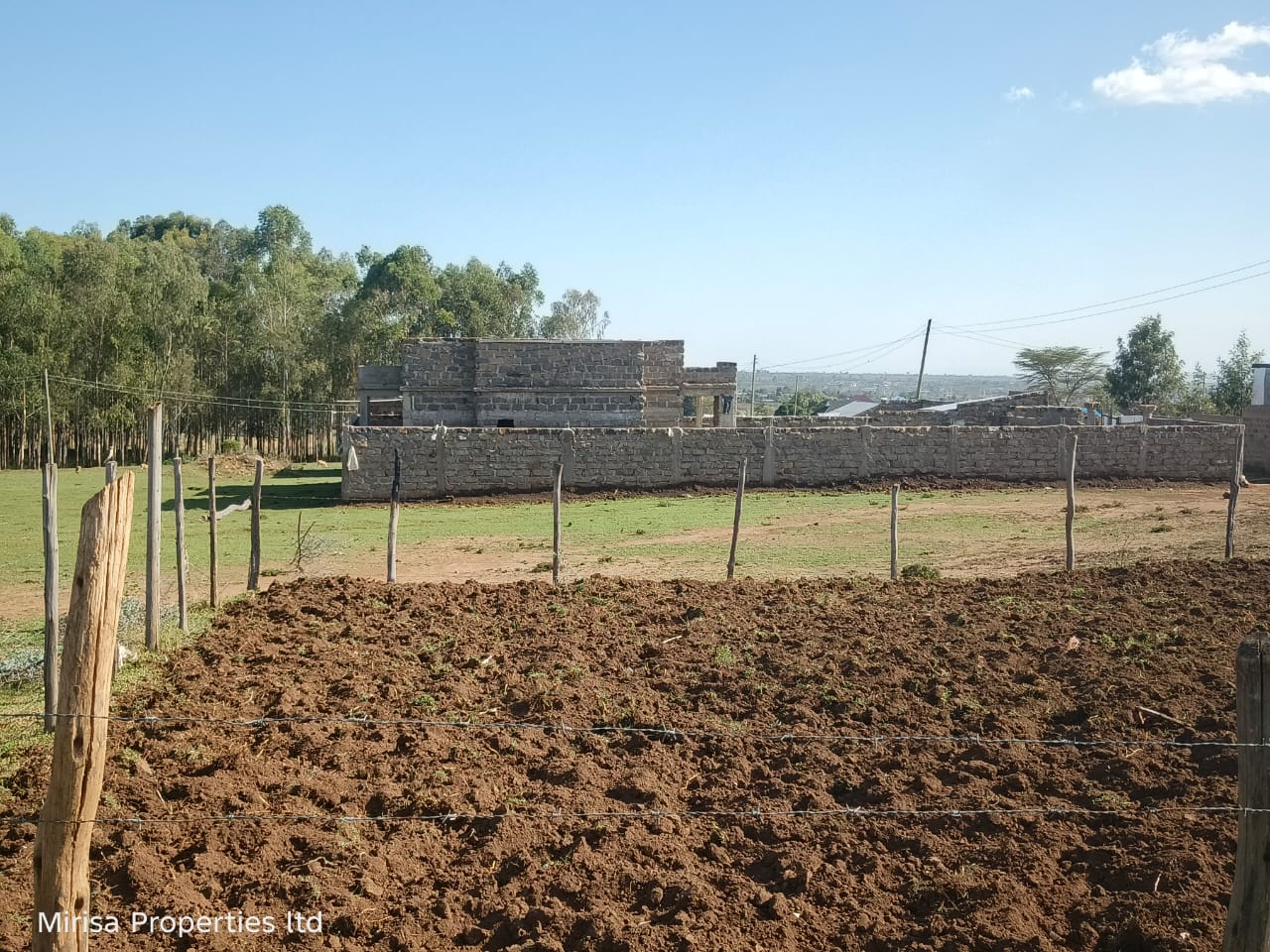 Fanaka Boys plot thumbnail 3
