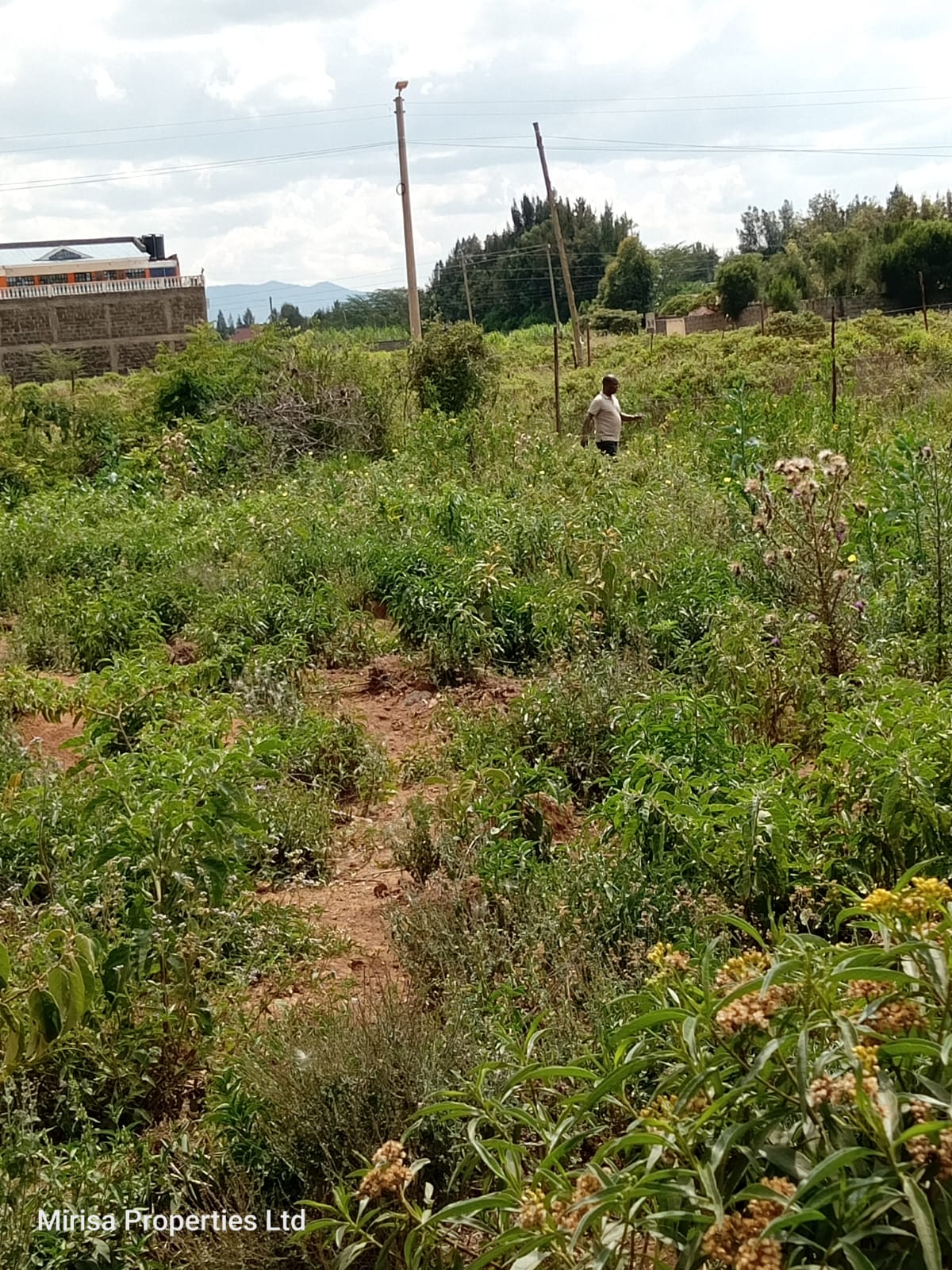 Commercial plots for sale at Gilgil Town Junction fronting Nairobi Nakuru Highway